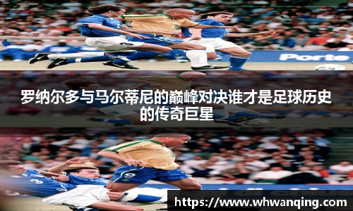 3377体育官网