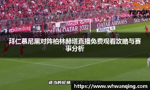 3377体育官网