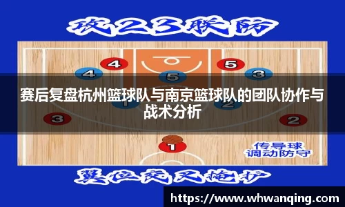 3377体育官网
